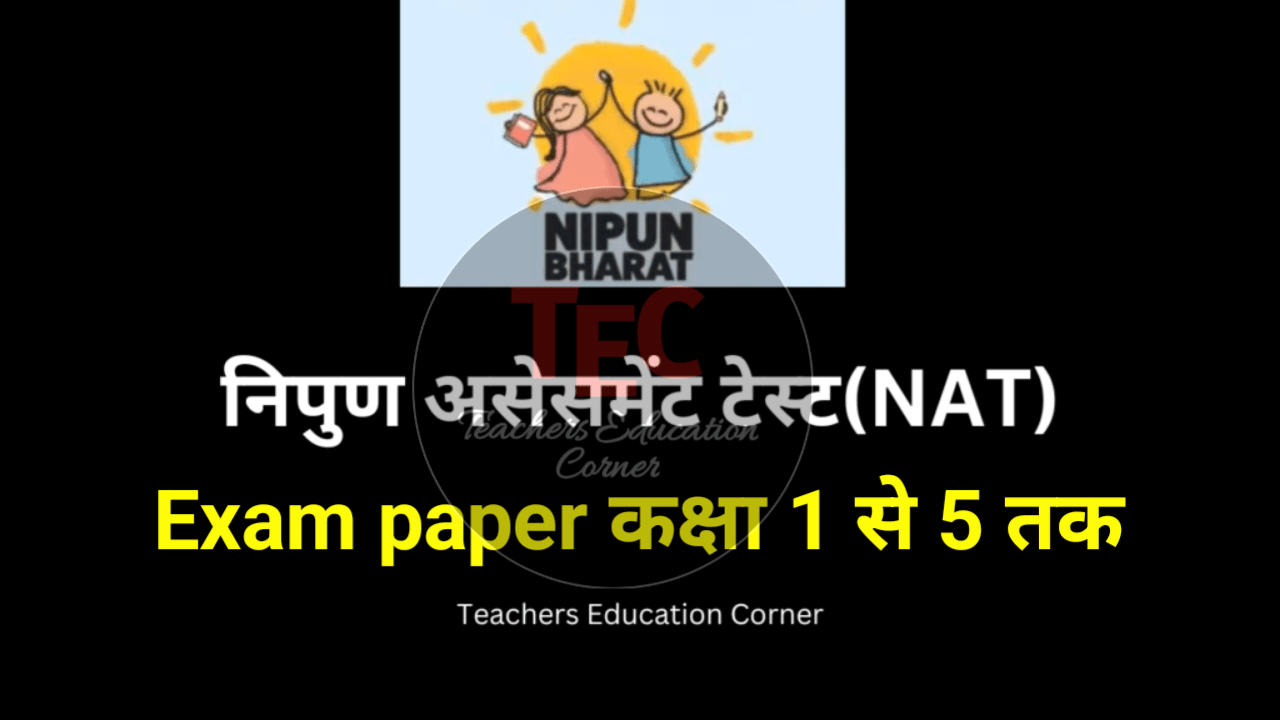 नए Nat Paper 2023 Class 1 To 5 Pdf Nat Exam 2023 Nat Model Paper 2023 Teachers Education